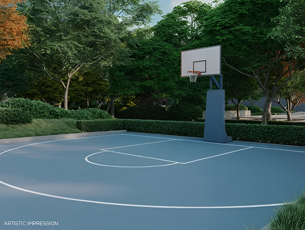 Half Basketball Court